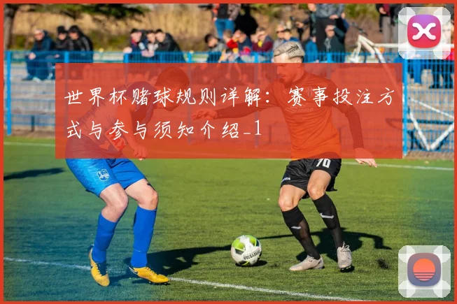 世界杯赌球规则详解：赛事投注方式与参与须知介绍_1