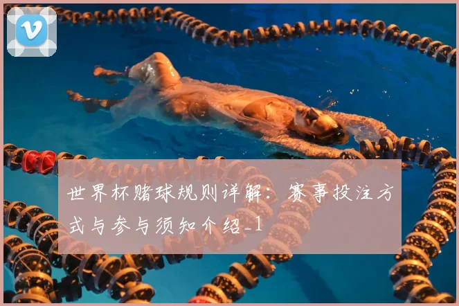 世界杯赌球规则详解:赛事投注方式与参与须知介绍_1
